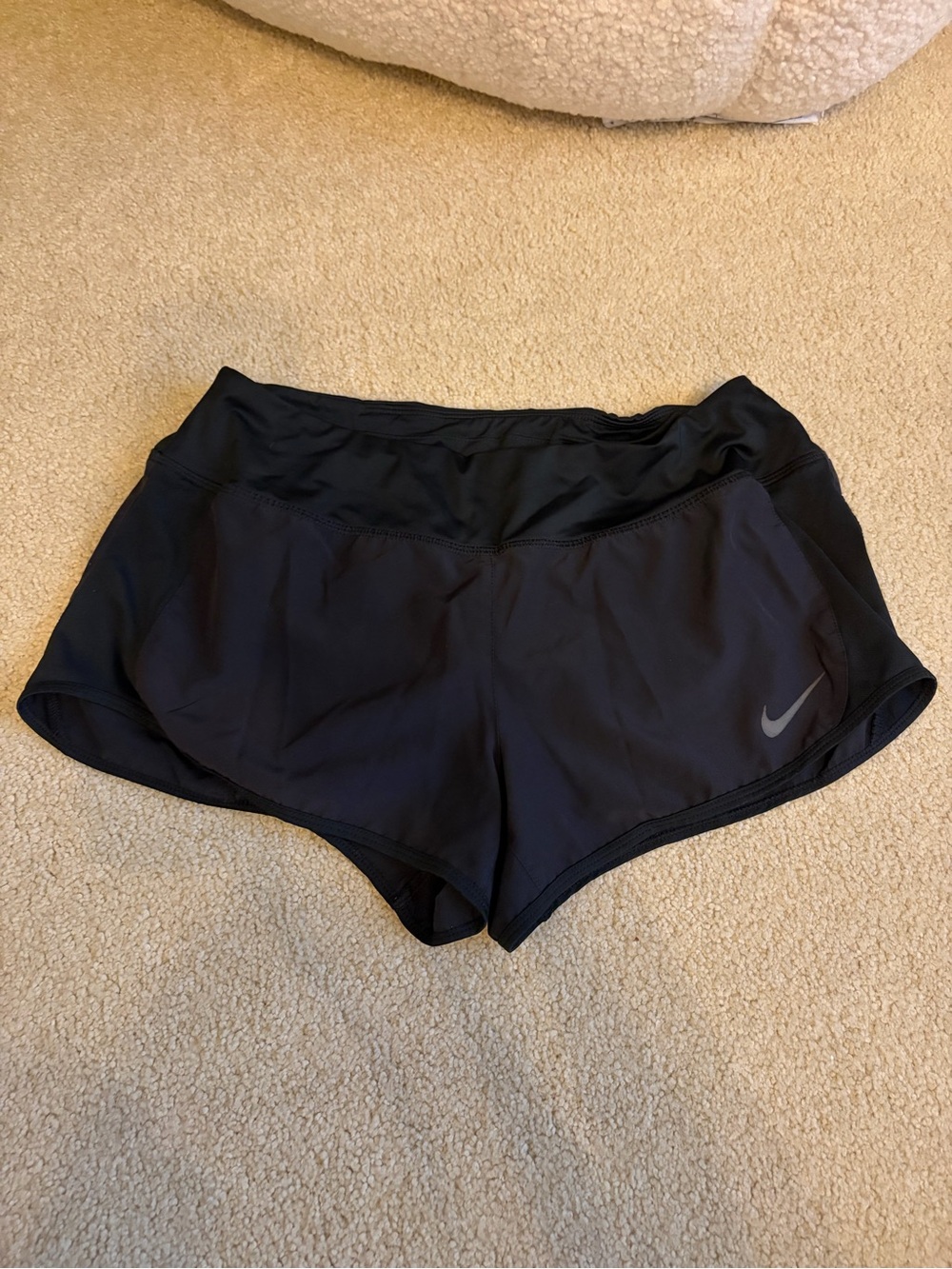 Nike Dry Fit Shorts
